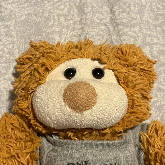 Lifetime’s One Born Every Minute Plush Bear Based On Hit TV Show - Picture 10 of 11